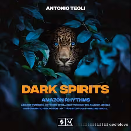 Montage by Splice Dark Spirits: Amazon Rhythms [WAV]