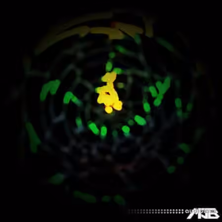 MrJonnyBatch Dark Emotive Electronica [WAV]