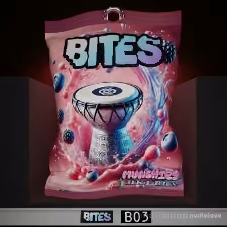 Munchies Jukebox Darbuka Bites Vol 1 [WAV]