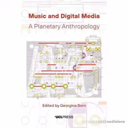 Music and Digital Media : A Planetary Anthropology