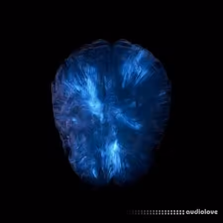 NAT08 Neural Network (Multi Kit) [WAV, MiDi, Synth Presets, DAW Templates]