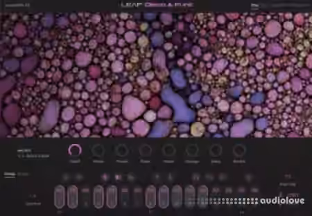 Native Instruments Leap Disco and Funk [KONTAKT]