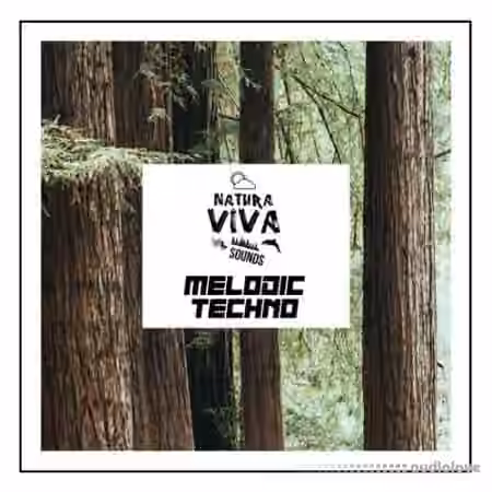 Natura Viva Sounds Melodic Techno [WAV]