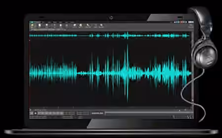 NCH WavePad Sound Editor Masters Edition v13.22 /  v9.42 [WiN, MacOSX]