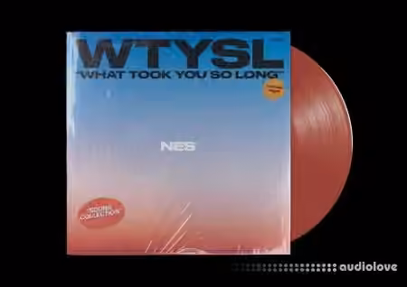 NES What Took You So Long [WAV]