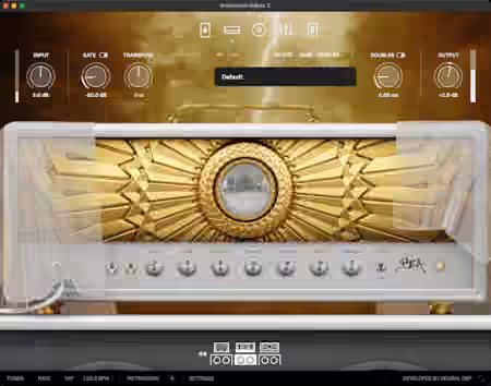 Neural DSP Archetype Rabea X v1.0.1 U2B [MacOSX]