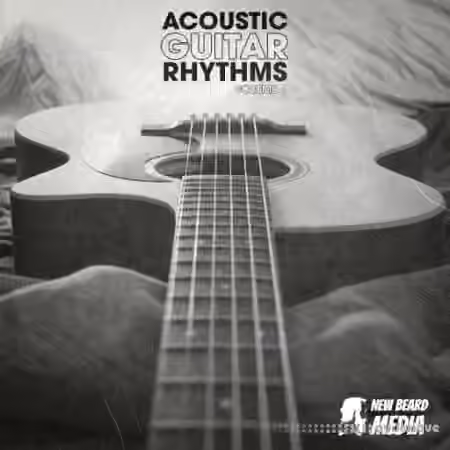 New Beard Media Acoustic Guitar Rhythms Vol 4 [WAV]