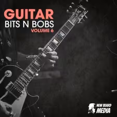 New Beard Media Guitar Bits N Bobs Vol.6 [WAV]