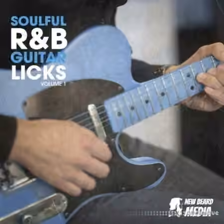 New Beard Media Soulful RnB Guitar Licks Vol.1 [WAV]