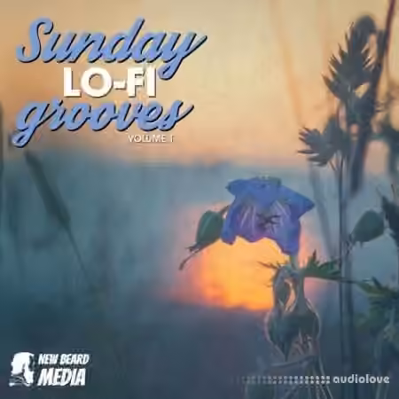 New Beard Media Sunday Lo Fi Grooves Vol 1 [WAV]