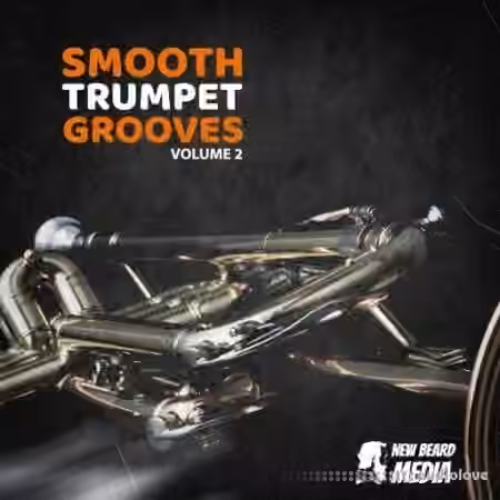 New Beard Media Trumpet Grooves Vol.2 [WAV]