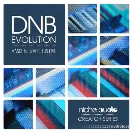 Niche Audio Creator Series DnB Evolution [Maschine]