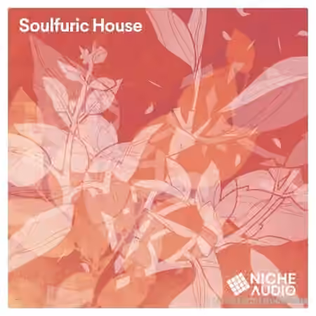 Niche Audio Soulfuric House 2