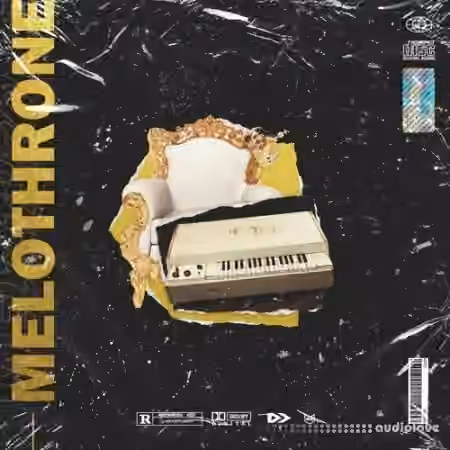 Nine Audio Melothrone [WAV]