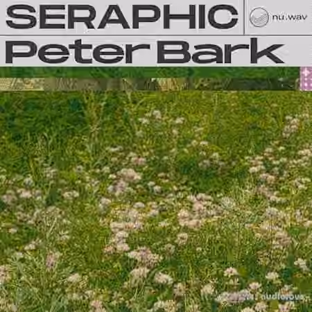 nu.wav Peter Bark - Seraphic [WAV]