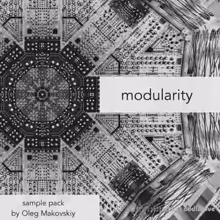 Oleg Makovskiy Modularity [WAV]