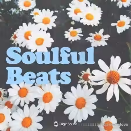 Origin Sound Soulful Beats [WAV, Synth Presets]