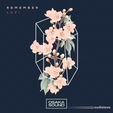 Osaka Sound Remember Lo-Fi [WAV]