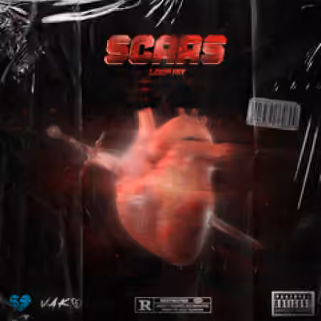 Panndi x Vako Scars (Full Version) [WAV]
