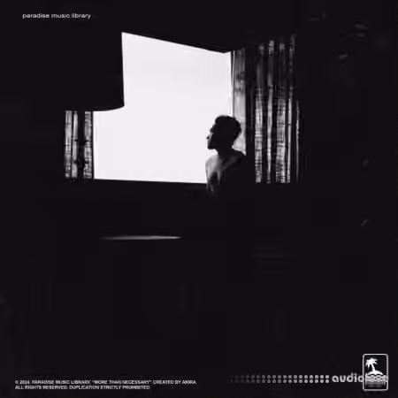 Paradise Music Library AKIRA and AAGNIK More Than Necessary (Compositions And Stems) [WAV, Synth Presets]