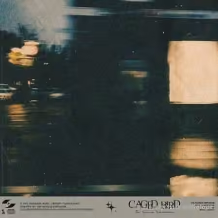 Paradise Music Library The Nuance Emporium Caged Bird [WAV]