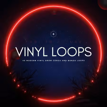 PastToFutureReverbs 40 Modern Vinyl Drum Conga and Bongo Loops! [WAV]