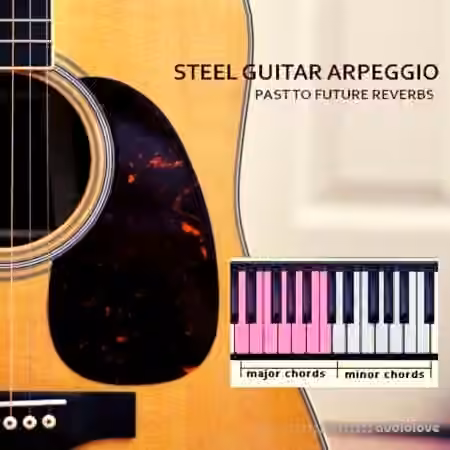 PastToFutureReverbs Acoustic Steel Guitar Arpeggio [KONTAKT]