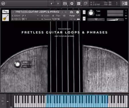 PastToFutureReverbs Fretless Guitar Loops And Phrases [KONTAKT]