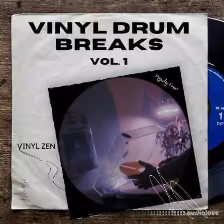 PastToFutureReverbs Vinyl Drum Breaks Vol.1 [WAV]