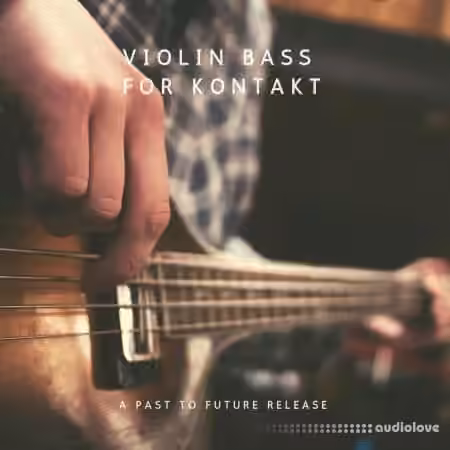 PastToFutureReverbs Violin Bass [KONTAKT]