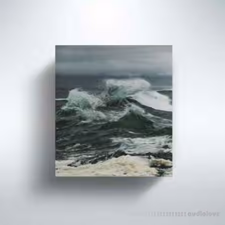 Pedro Paes Waves (Sample Pack) [WAV]