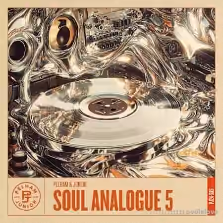 Pelham and Junior Soul Analogue 5 [WAV]