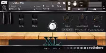 Perfect Kits Perfect Percussion XL [KONTAKT]