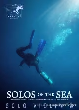 Performance Samples Solos of the Sea Solo Violin A [KONTAKT]