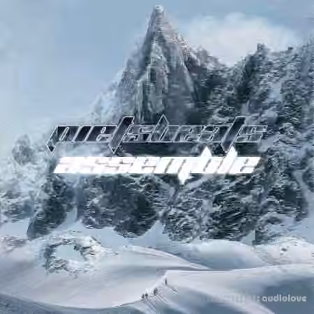 Pietsbeats Assemble Drum Kit [WAV, Synth Presets]