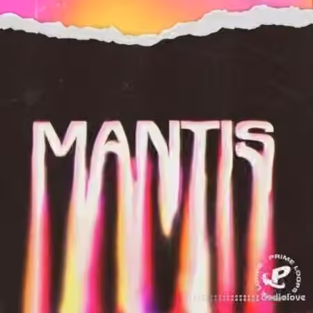 Prime Loops Mantis [WAV]