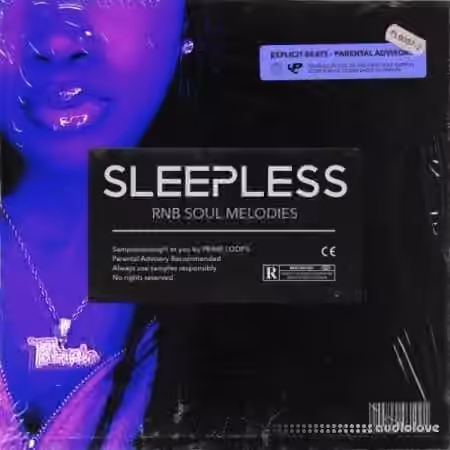 Prime Loops SLEEPLESS RnB Soul Melodies [WAV]