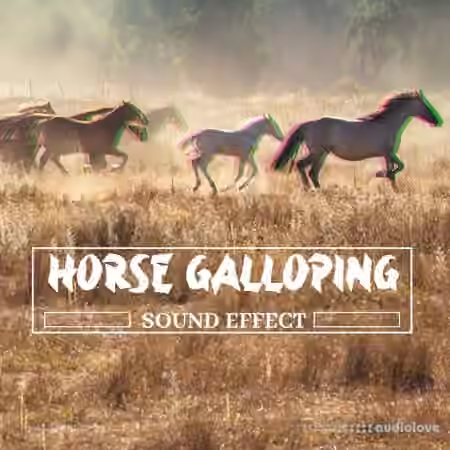 Pro Sound Effects Library Horse Galloping Sound Effect [FLAC]
