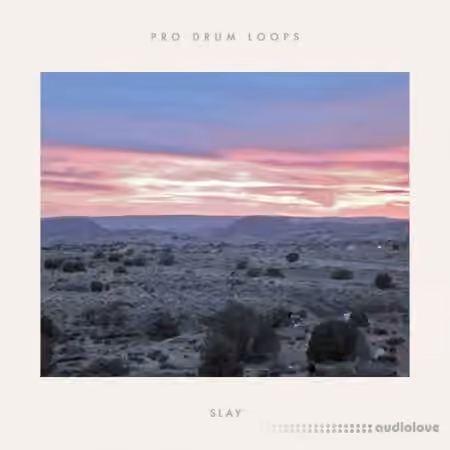 ProDrumLoops Slay [AiFF]