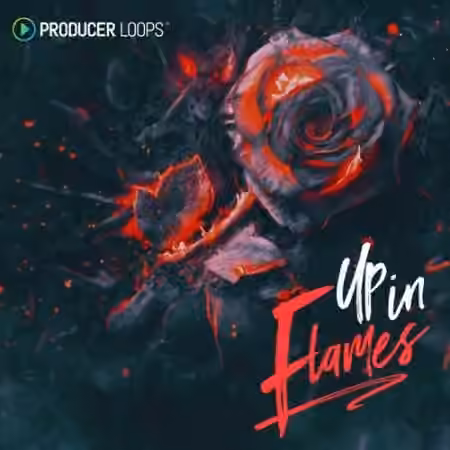 Producer Loops Up In Flames [MULTiFORMAT]