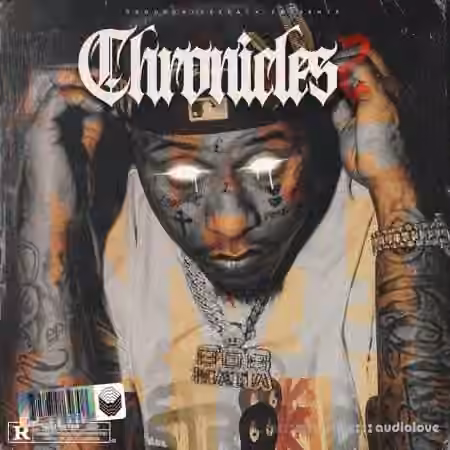 ProofOnTheTrack Chronicles 2 (Multi Kit) [WAV, MiDi, Synth Presets]