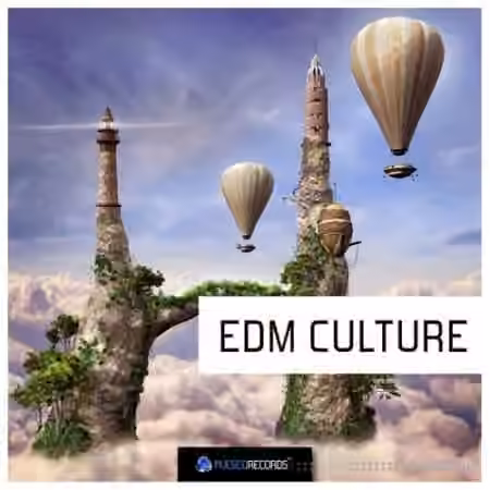 Pulsed Records EDM Culture [WAV, MiDi]
