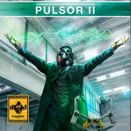 Pulsesetter Sounds Pulsor II [Synth Presets]