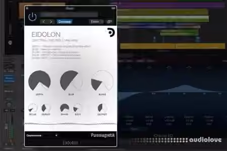 Puremagnetik Eidolon v1.0.1 [WiN, MacOSX]