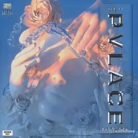 PVLACE Loopkit Vol.6 [WAV]