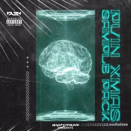 QUVY TRAX STORE XMAS_PV1N Sample Pack2023 (Ultimate Edition) [WAV, Synth Presets]
