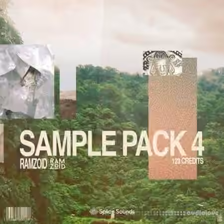 Ramzoid Sample Pack 4 [WAV]