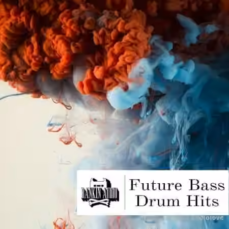 Rankin Audio Future Bass Drum Hits [WAV, MiDi, Ableton Live]