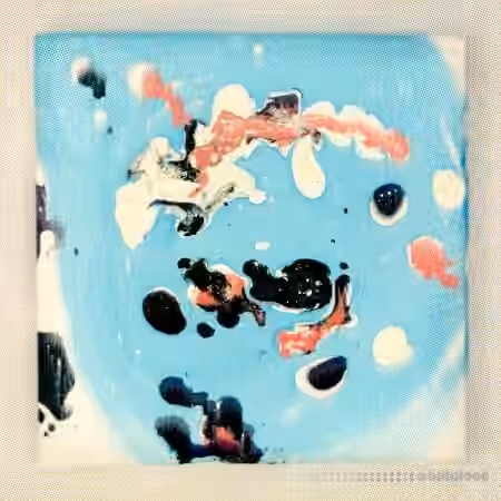 RARE Percussion Symbiosis [WAV]