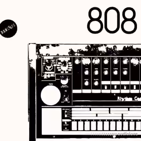 Raw Loops RAW 808 Drum Hits [WAV]